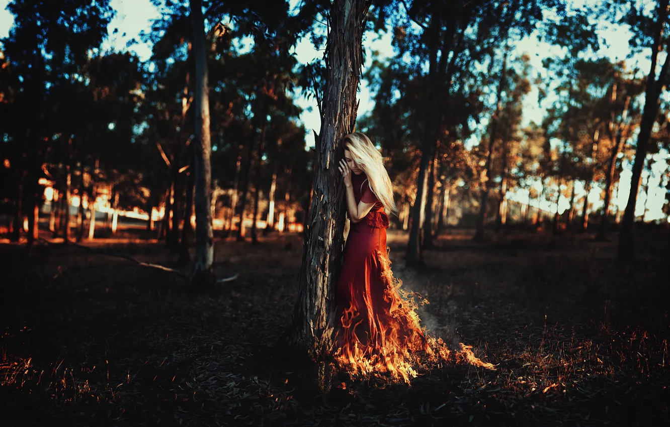 Photo wallpaper leaves, girl, the sun, trees, branches, fire, hair, red dress