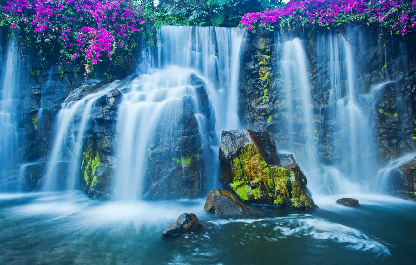 Photo wallpaper flowers, stones, waterfall, moss