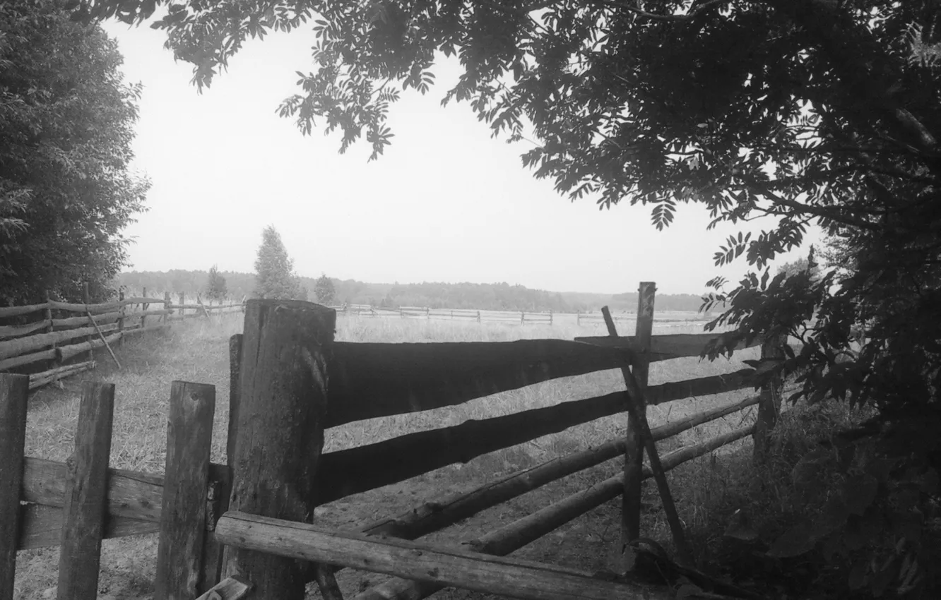 Photo wallpaper village, nature., village nature