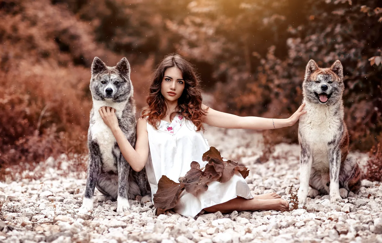 Photo wallpaper look, nature, pose, animal, model, portrait, makeup, dress