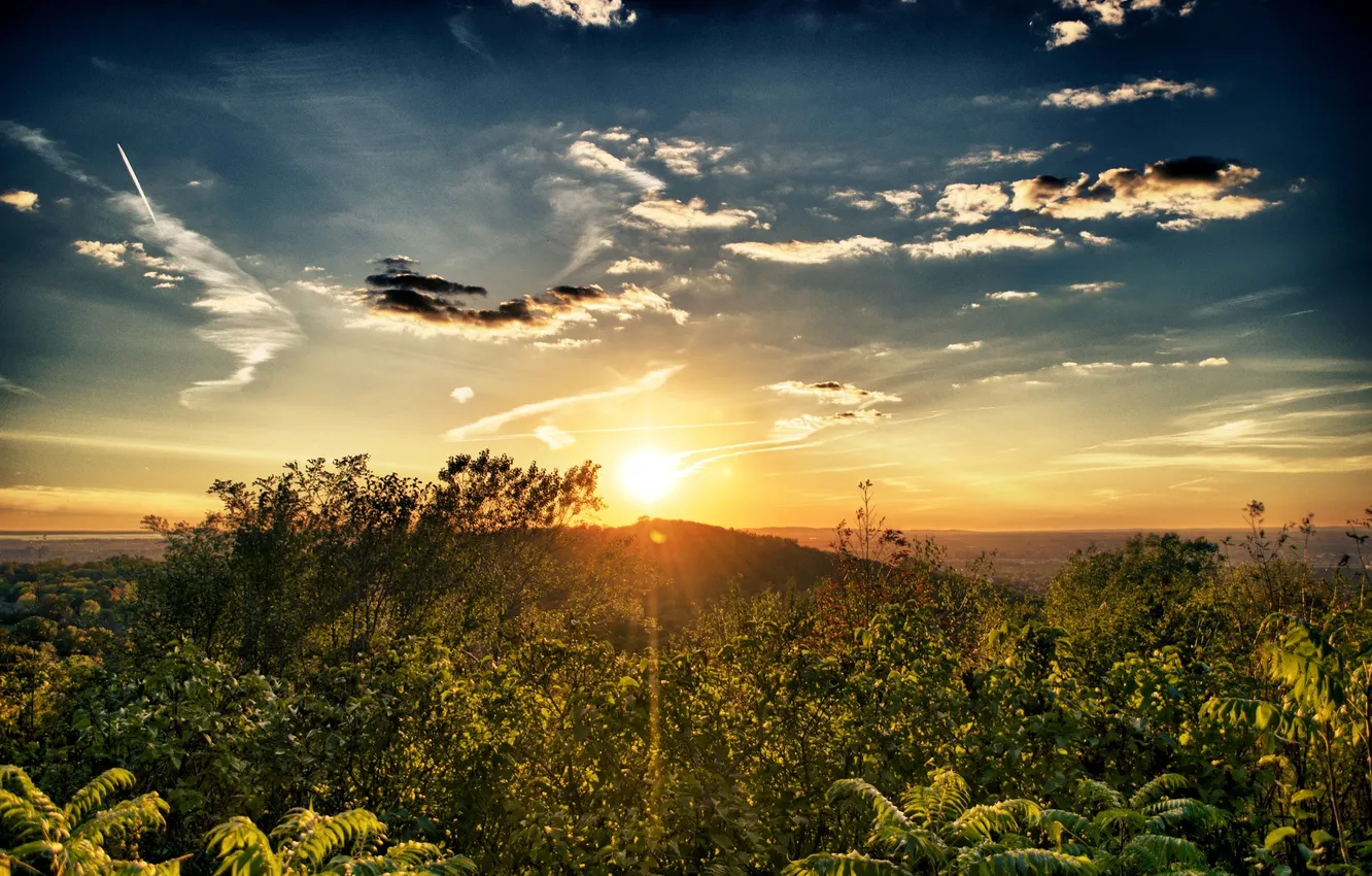 Photo wallpaper forest, the sky, clouds, sunrise, Arras Marouen