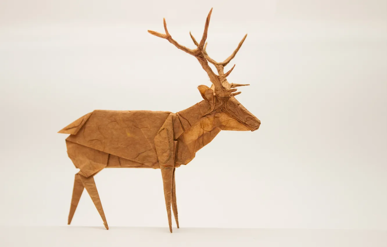 Photo wallpaper background, deer, origami