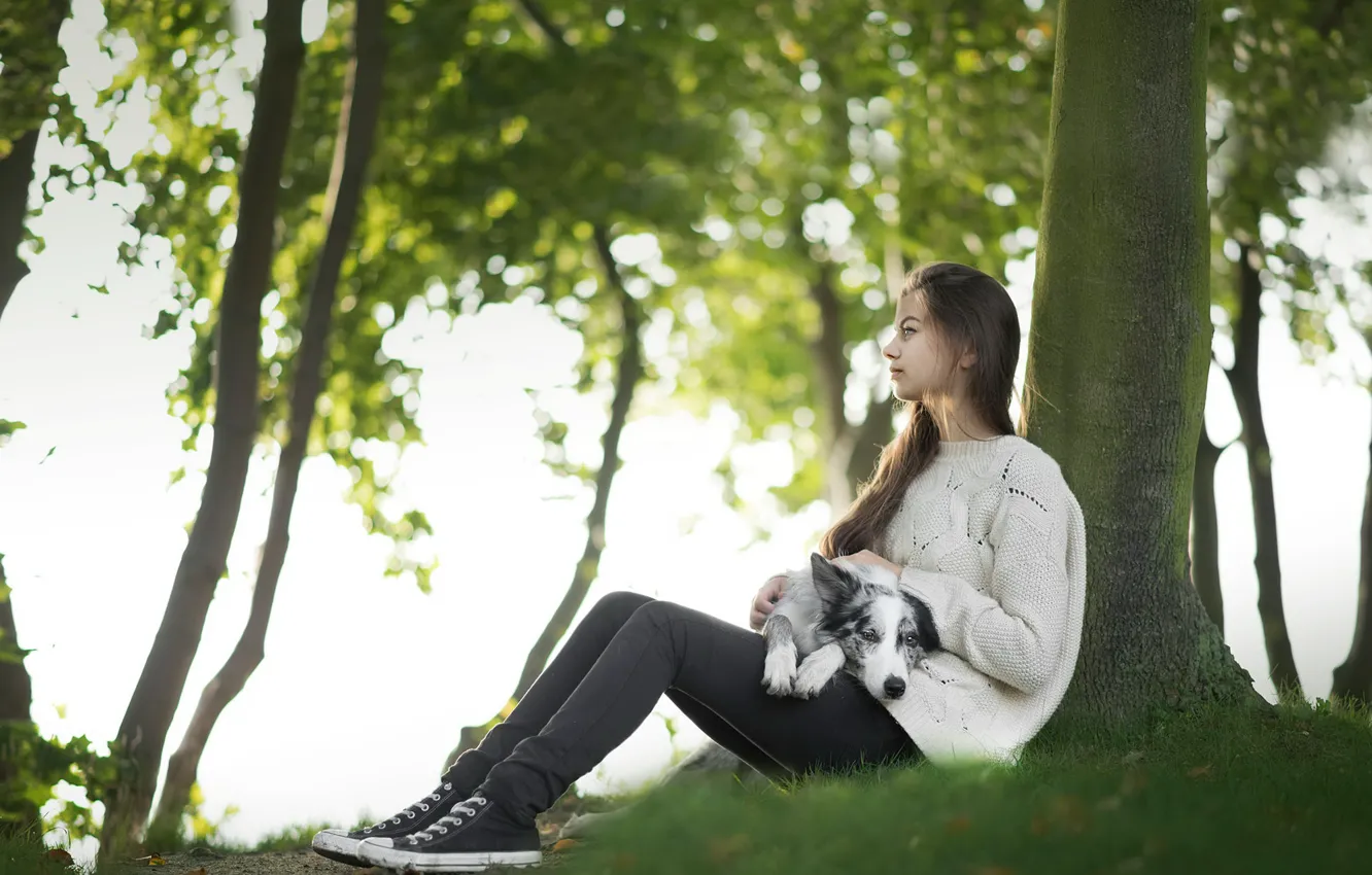 Photo wallpaper girl, tree, dog