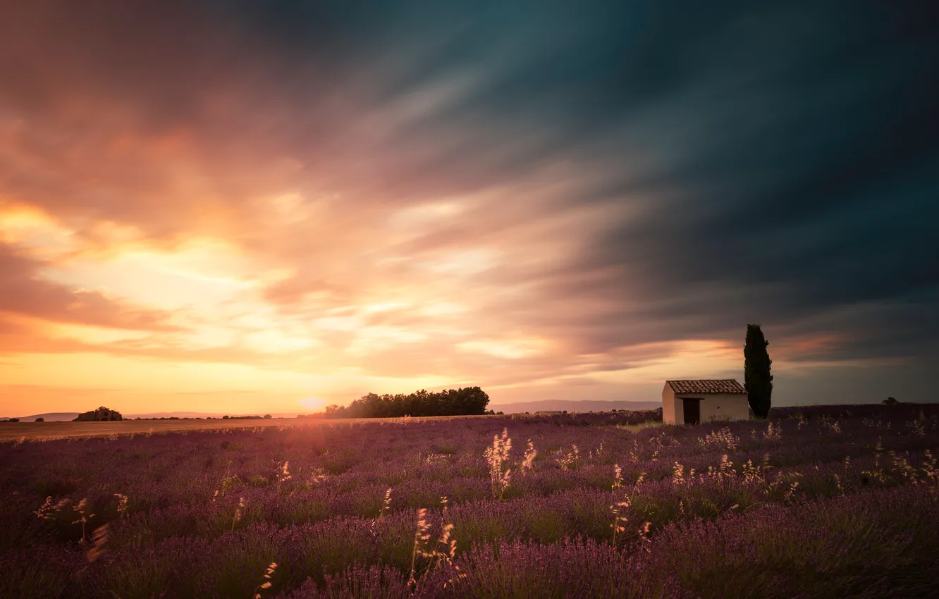 Photo wallpaper clouds, house, lavender, lavender field