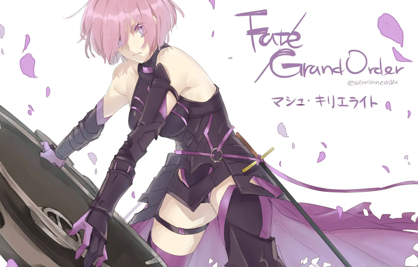Photo wallpaper girl, shield, Fate / Grand Order, The destiny of a great campaign
