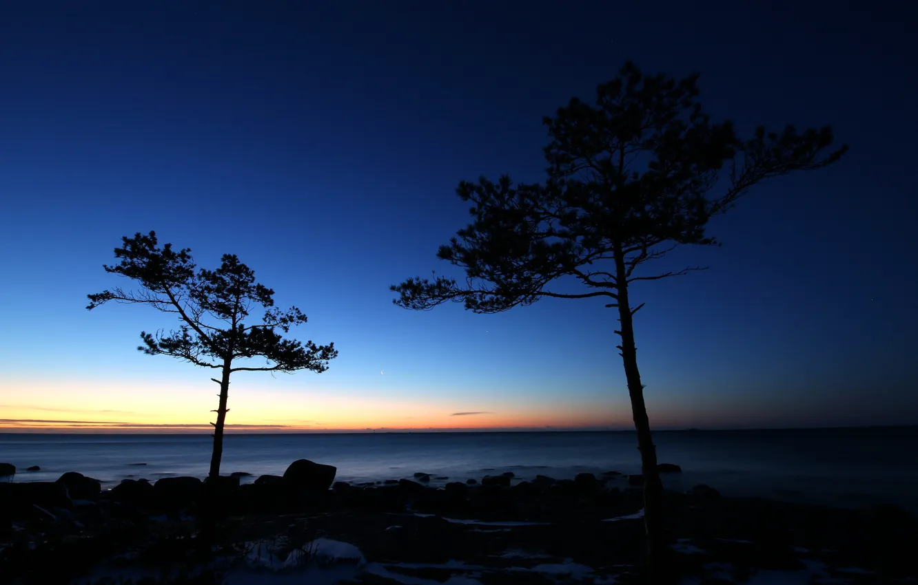 Photo wallpaper sea, the sky, trees, sunset, stones, coast, horizon, silhouettes