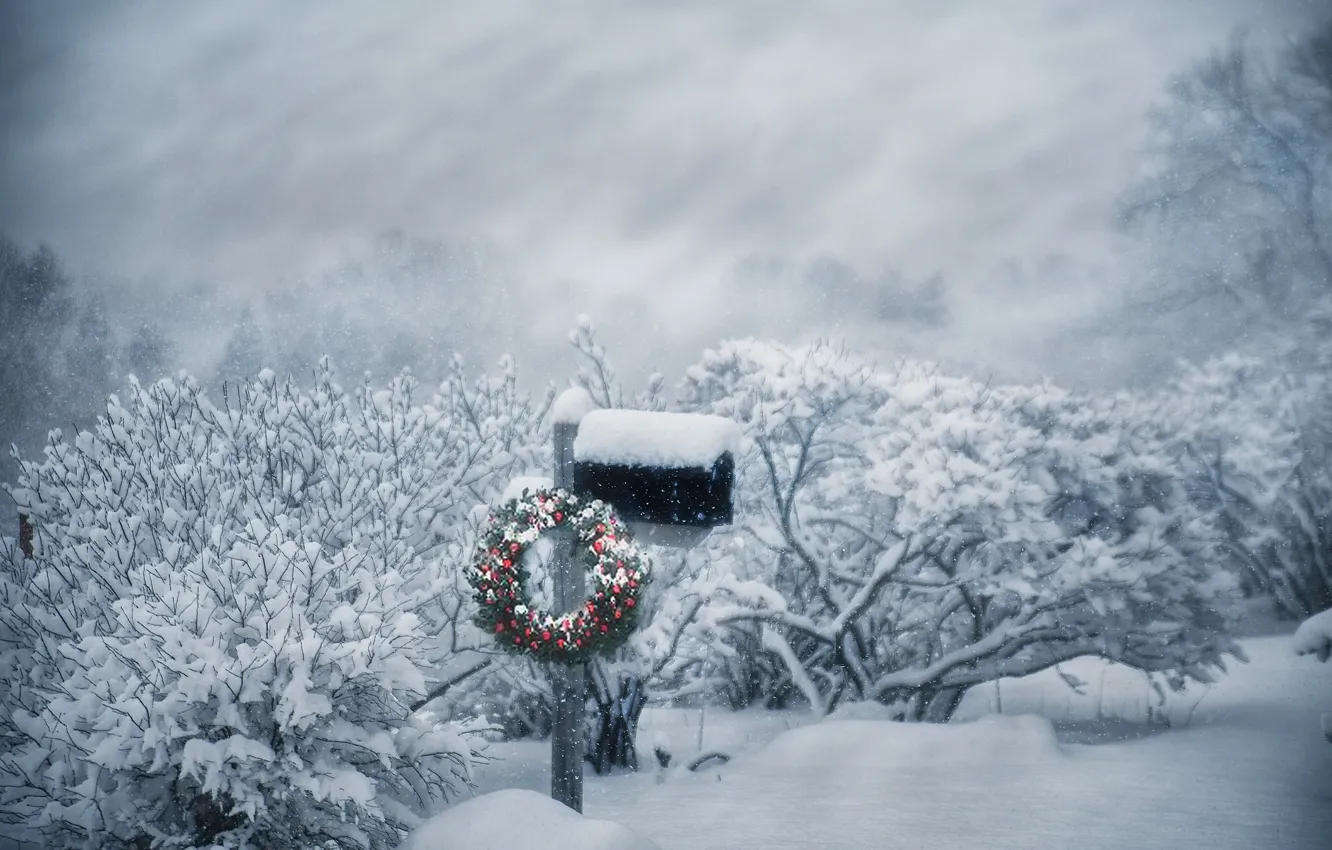Photo wallpaper winter, snow, Christmas, Blizzard, wreath, the bushes, Inbox