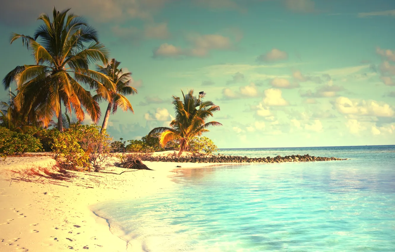 Photo wallpaper sand, sea, beach, tropics, palm trees, shore, summer, sunshine
