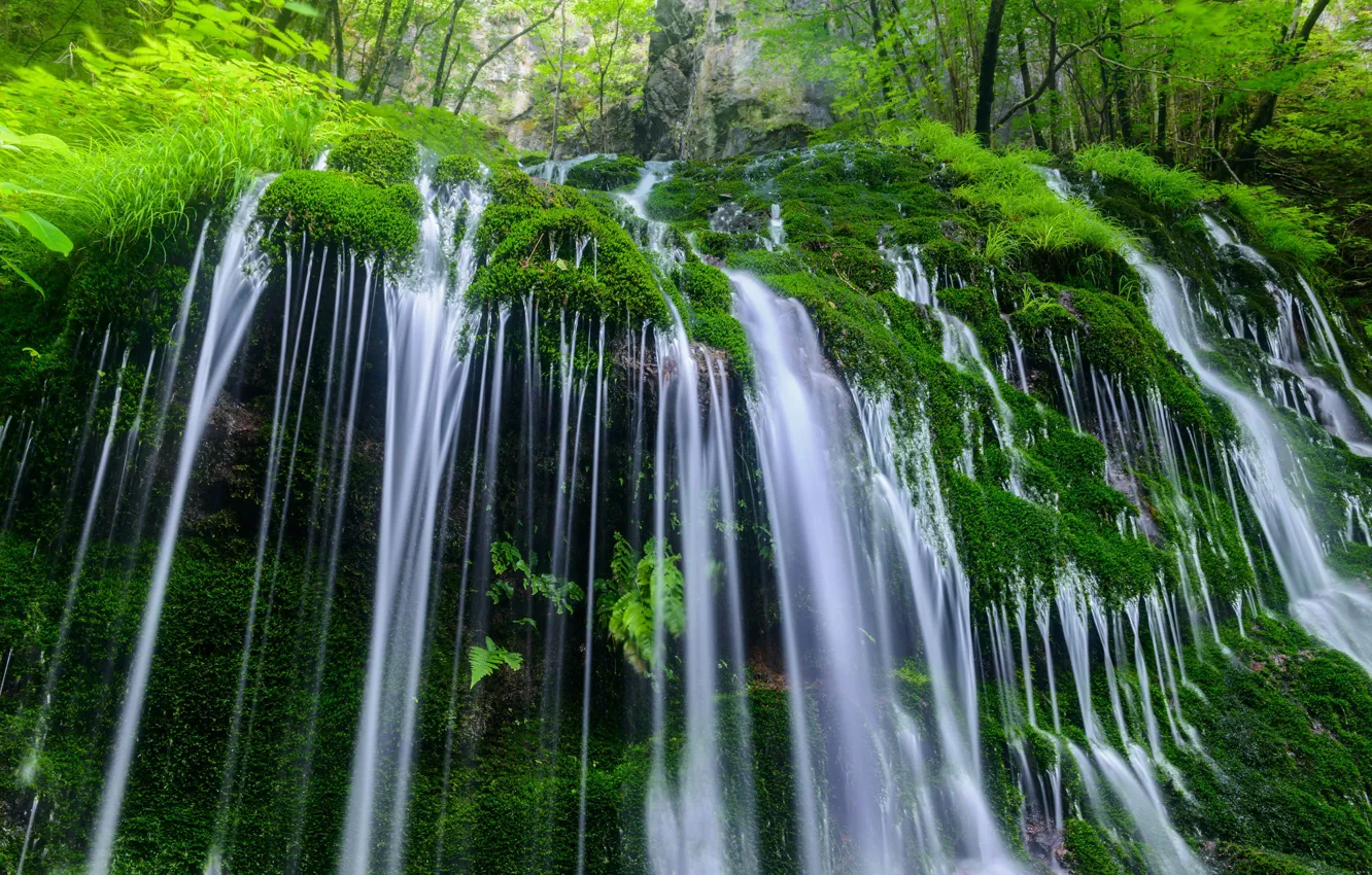 Photo wallpaper water, nature, stones, vegetation, waterfall, moss