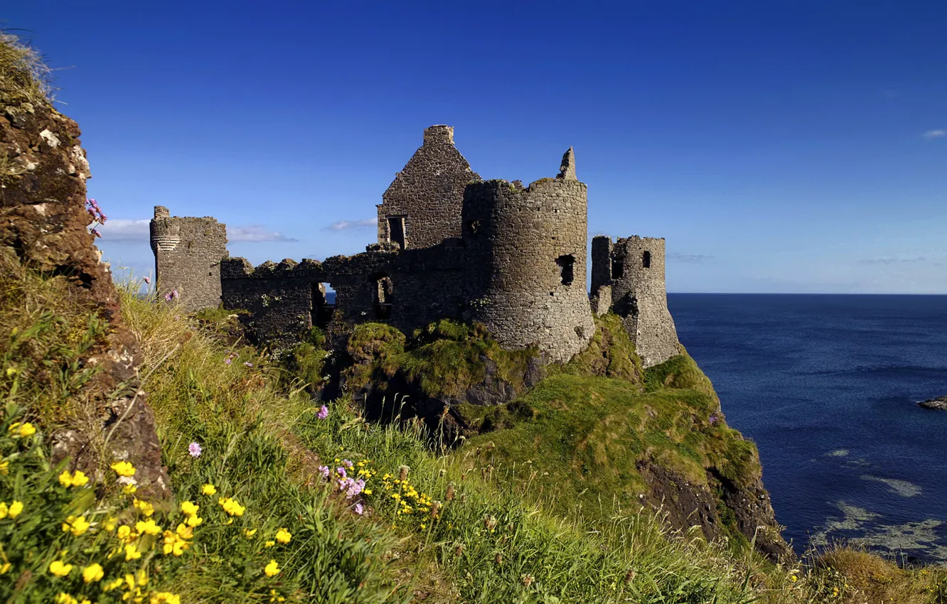 Photo wallpaper flowers, nature, castle, the ocean