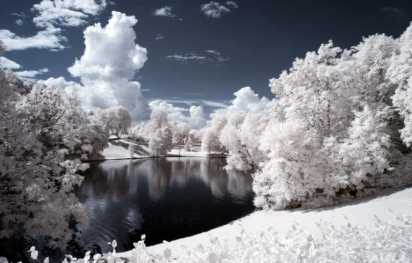 Photo wallpaper winter, forest, the sky, clouds, snow, trees, landscape, river