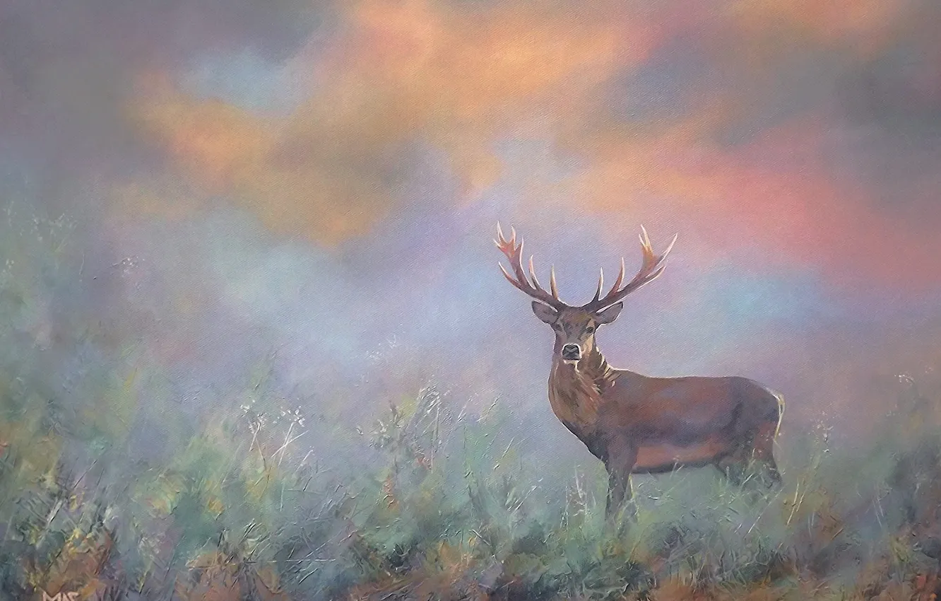 Photo wallpaper nature, background, horns, Moose