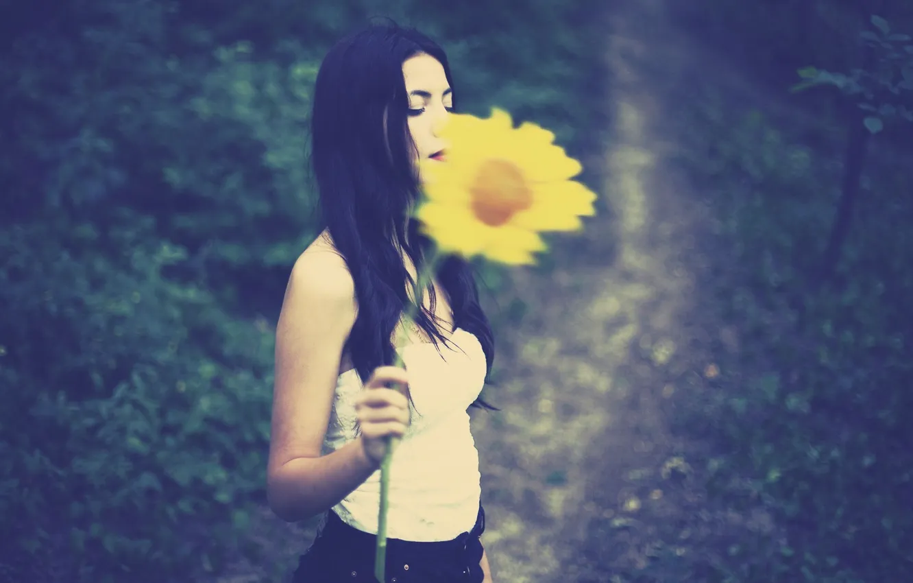 Photo wallpaper girl, sunflowers, flowers, yellow, background, mood, Wallpaper, bratka
