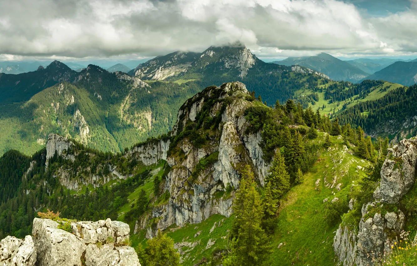 Photo wallpaper greens, the sky, grass, clouds, trees, landscape, mountains, nature