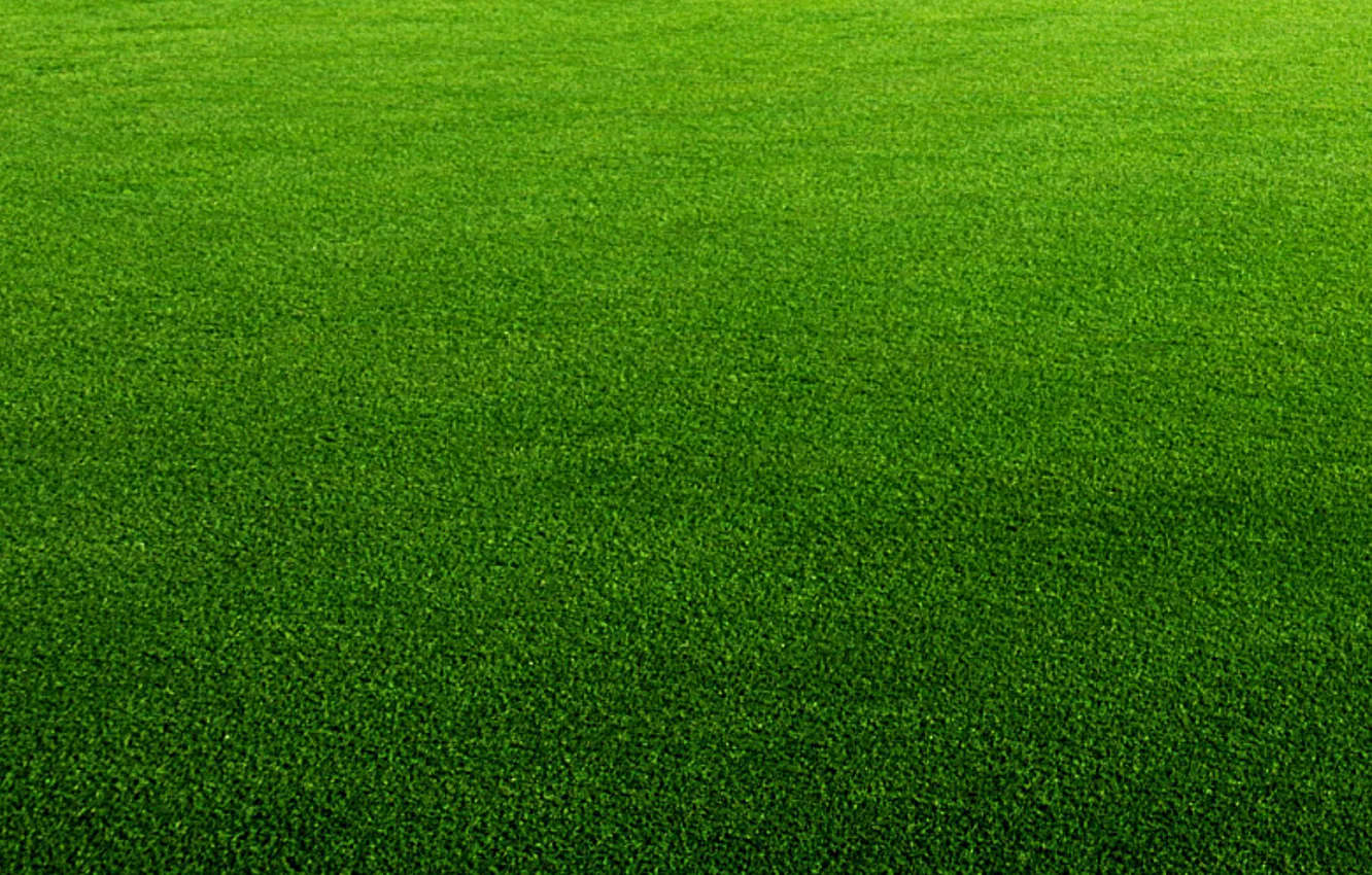 Wallpaper greens, grass, lawn for mobile and desktop, section текстуры ...