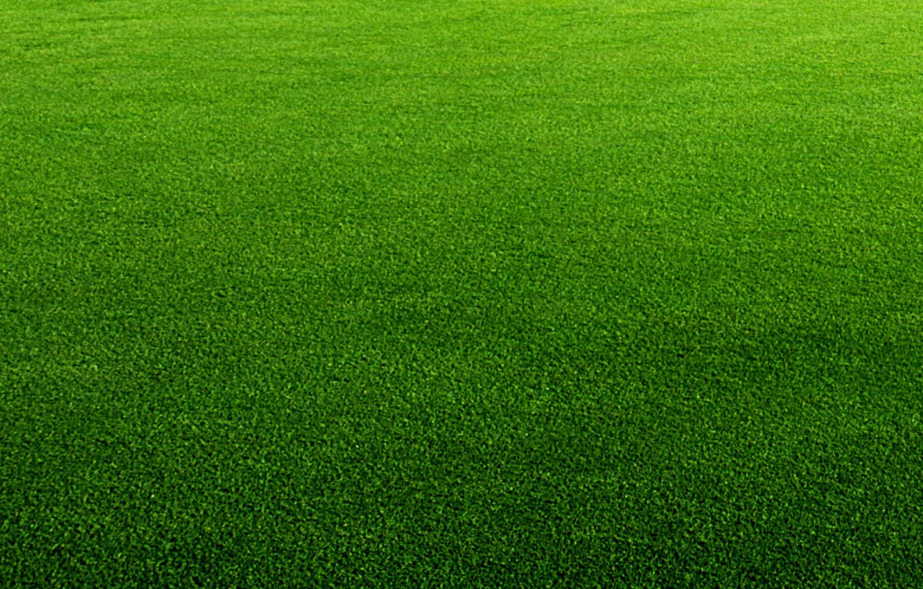 Photo wallpaper greens, grass, lawn
