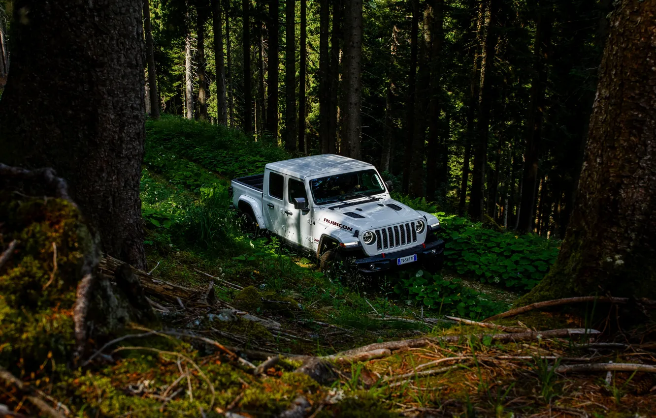 Photo wallpaper forest, white, trees, SUV, pickup, Gladiator, 4x4, Jeep