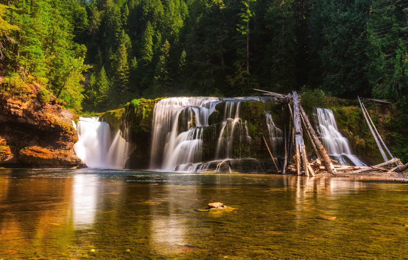 Photo wallpaper forest, trees, lake, reflection, river, waterfall, USA, Washington