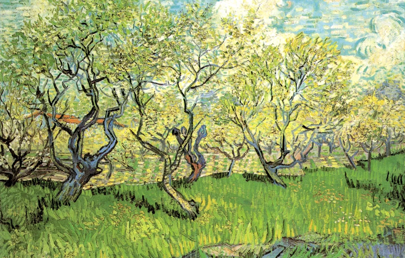 Photo wallpaper grass, clouds, trees, Vincent van Gogh, orchard, in Blossom 2