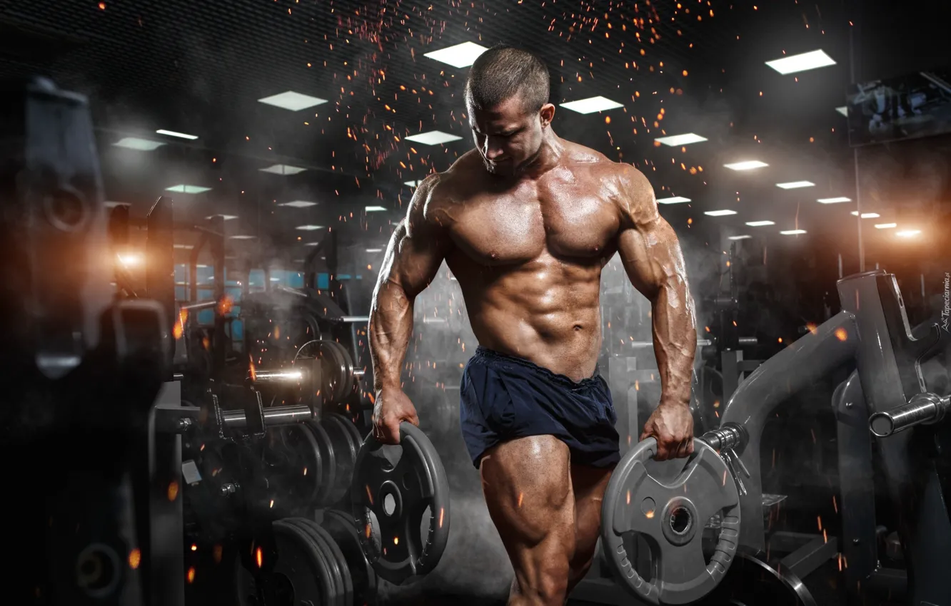 Photo wallpaper Muscle, muscle, bodybuilding, press, pose, training, athlete, fitness