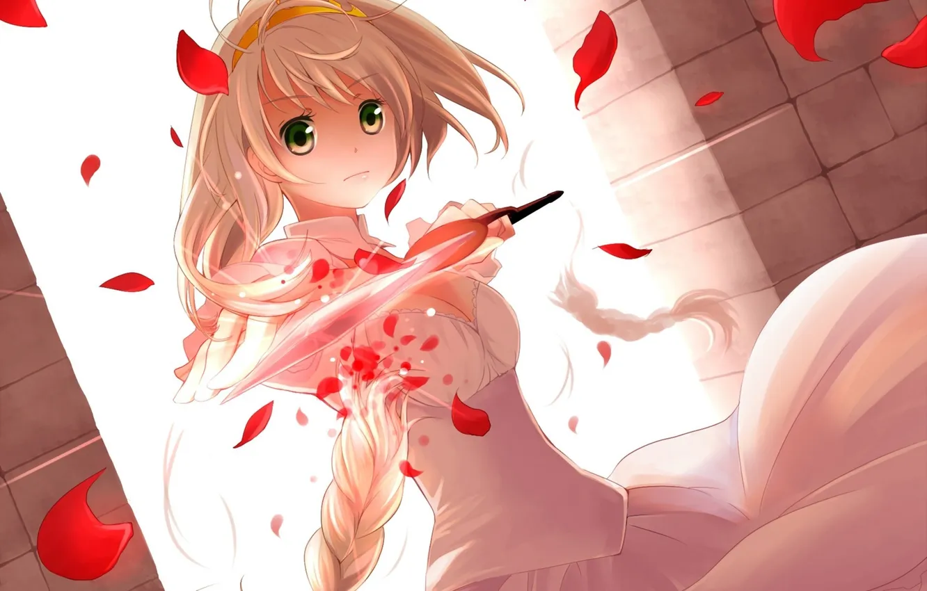 Photo wallpaper girl, weapons, petals, dress, art, knife, tape, braid