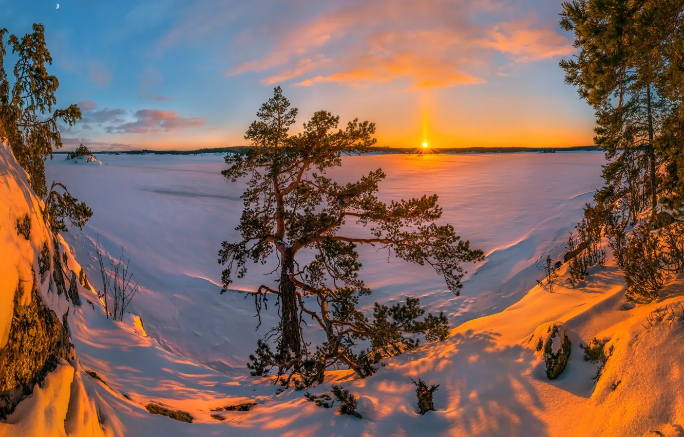 Photo wallpaper winter, snow, trees, sunset, lake, the snow, Russia, pine