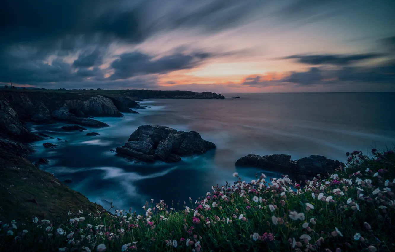 Photo wallpaper sea, summer, the sky, clouds, sunset, flowers, rocks, shore