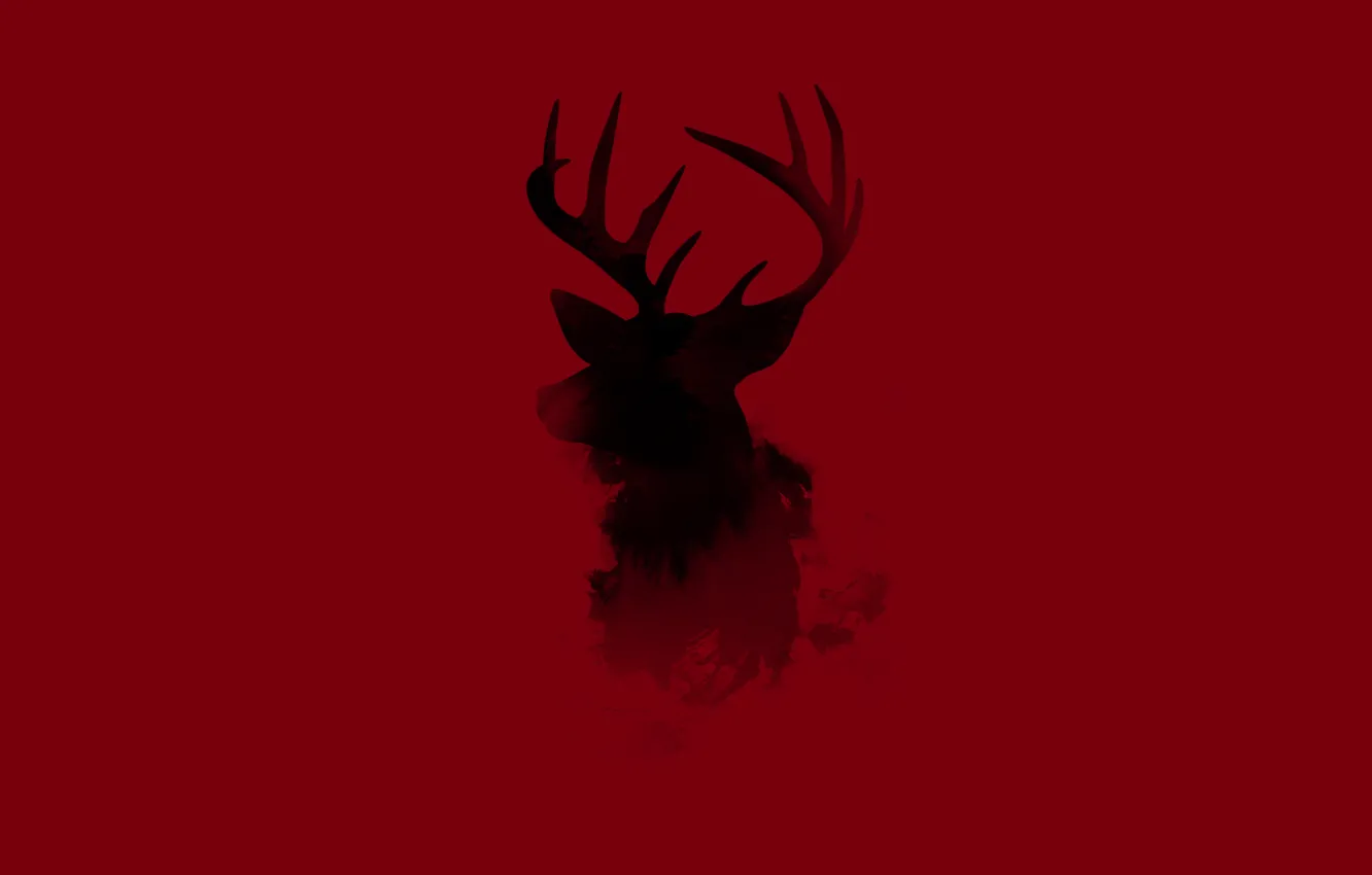 Photo wallpaper animal, minimalism, deer, horns