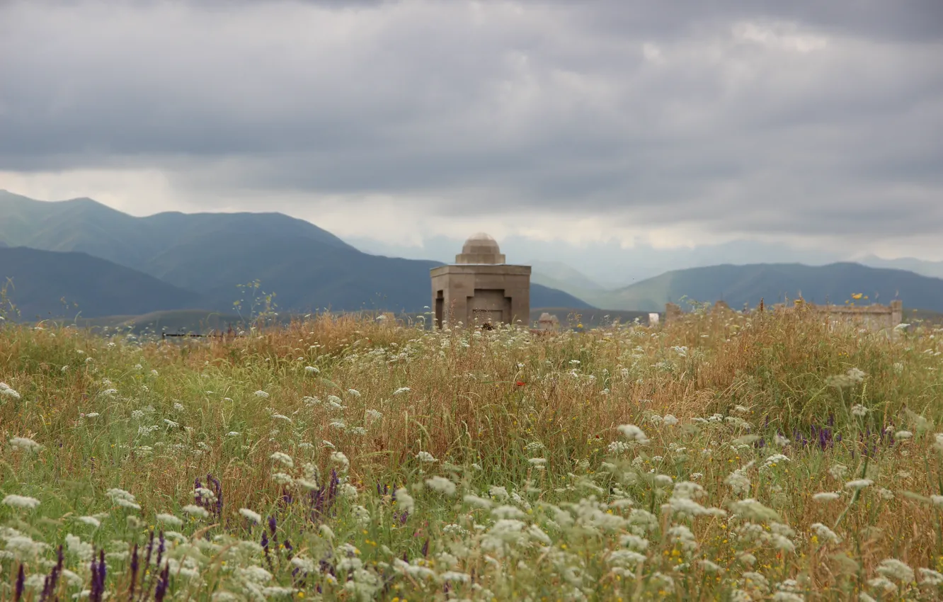 Photo wallpaper summer, the sky, grass, clouds, flowers, mountains, the steppe, graves