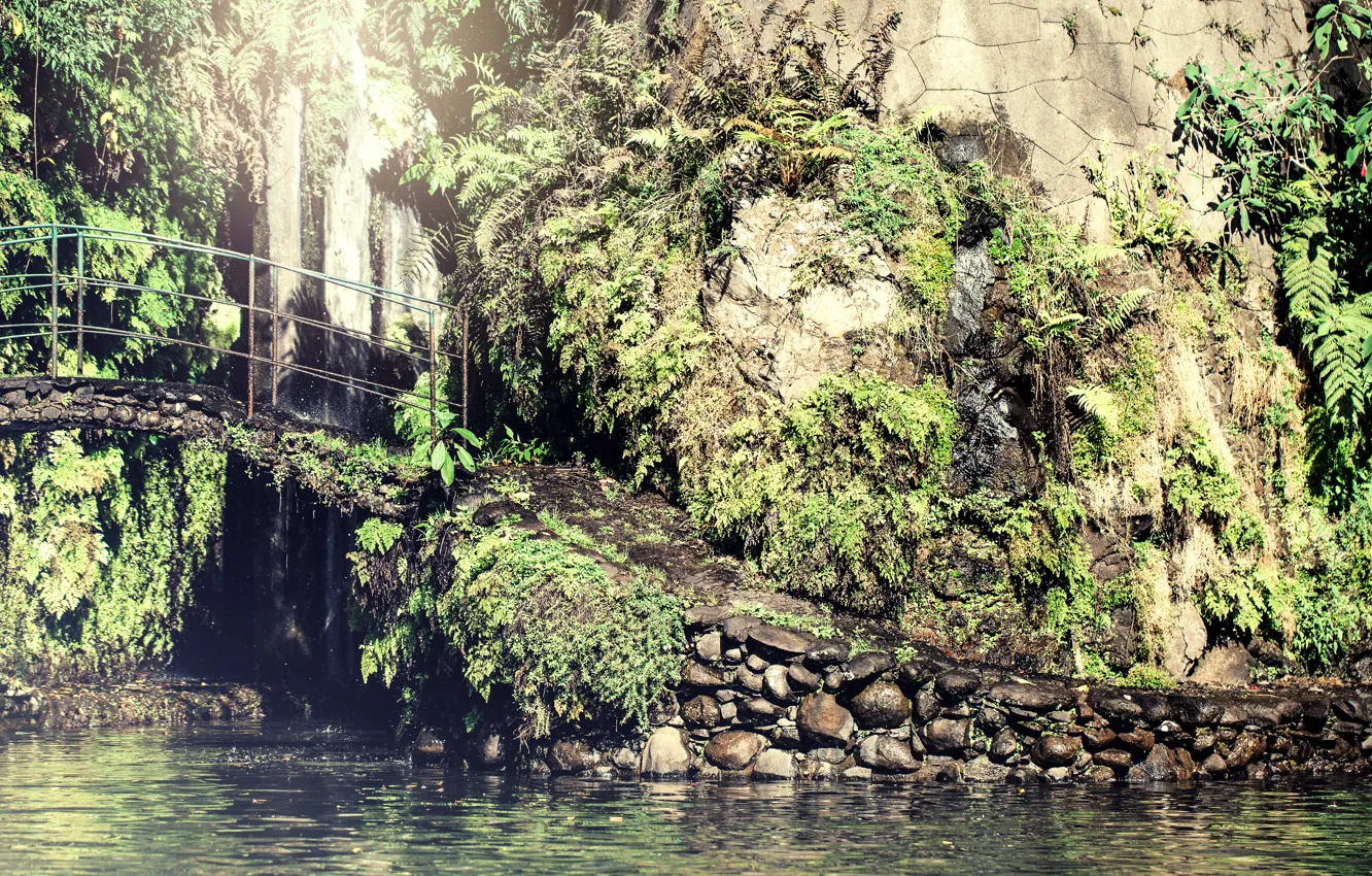 Photo wallpaper greens, bridge, nature, rock, lake, stones, waterfall, plants