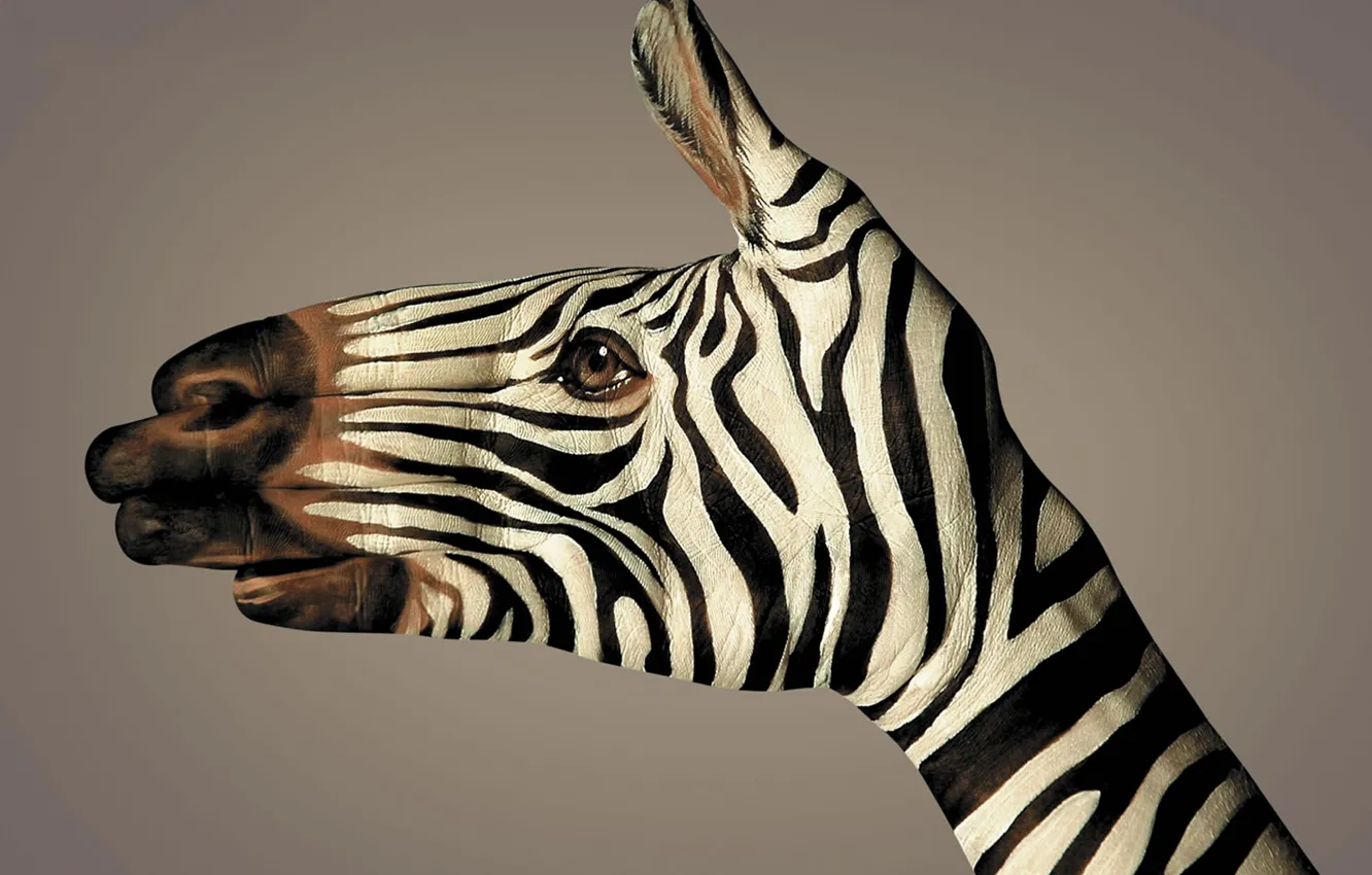 Photo wallpaper strips, black and white, hand, Zebra