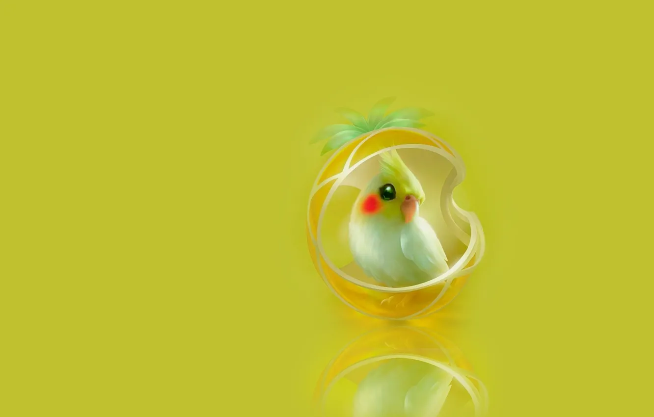 Photo wallpaper art, Parrot, children's, Shu Mizoguchi