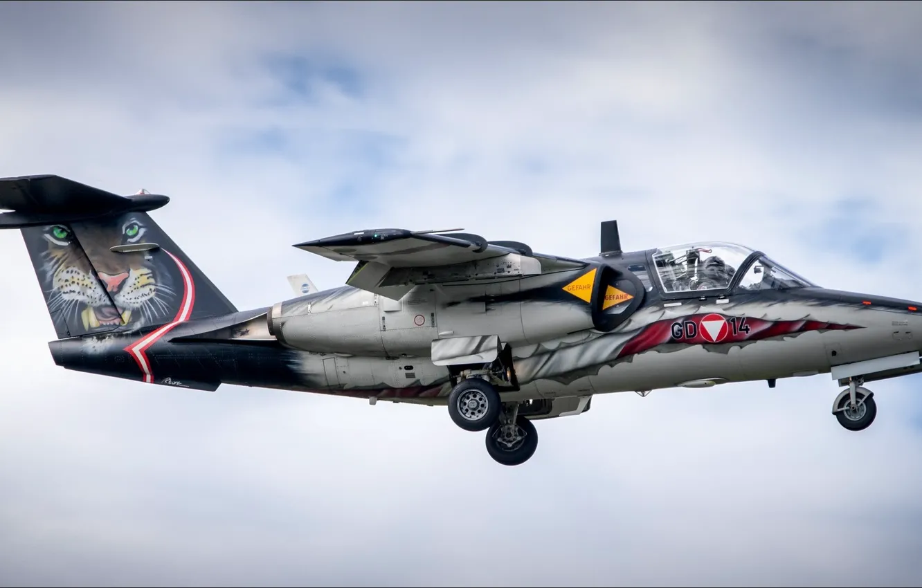 Photo wallpaper tiger, sky, tiger, airshow, You CAN