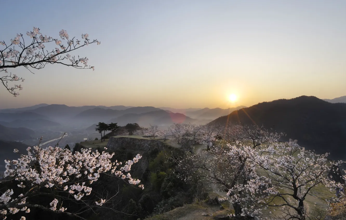 Photo wallpaper sunset, view, Japan, Sakura