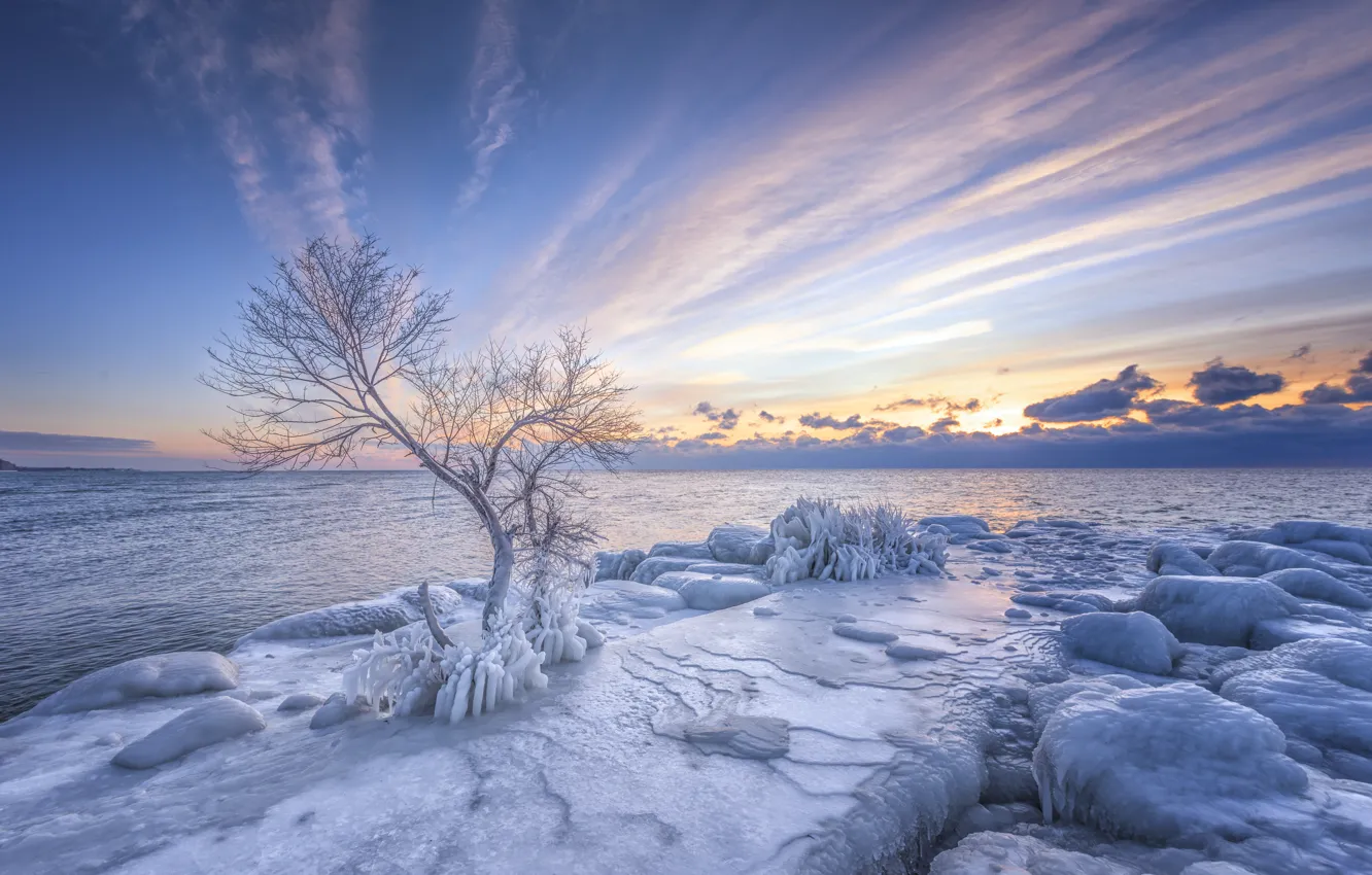 Photo wallpaper ice, winter, snow, trees, shore, pond