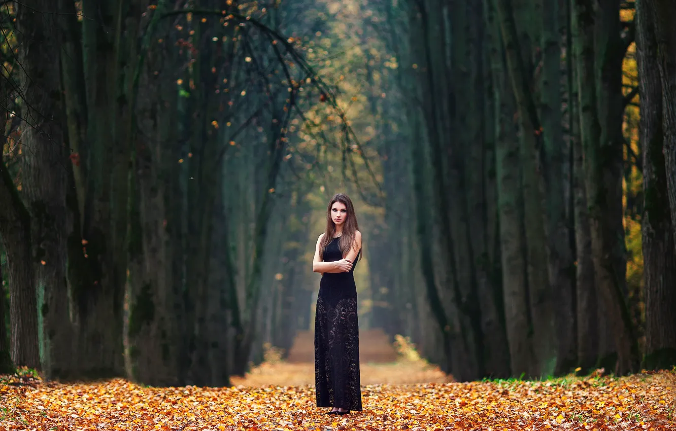 Photo wallpaper autumn, girl, alley