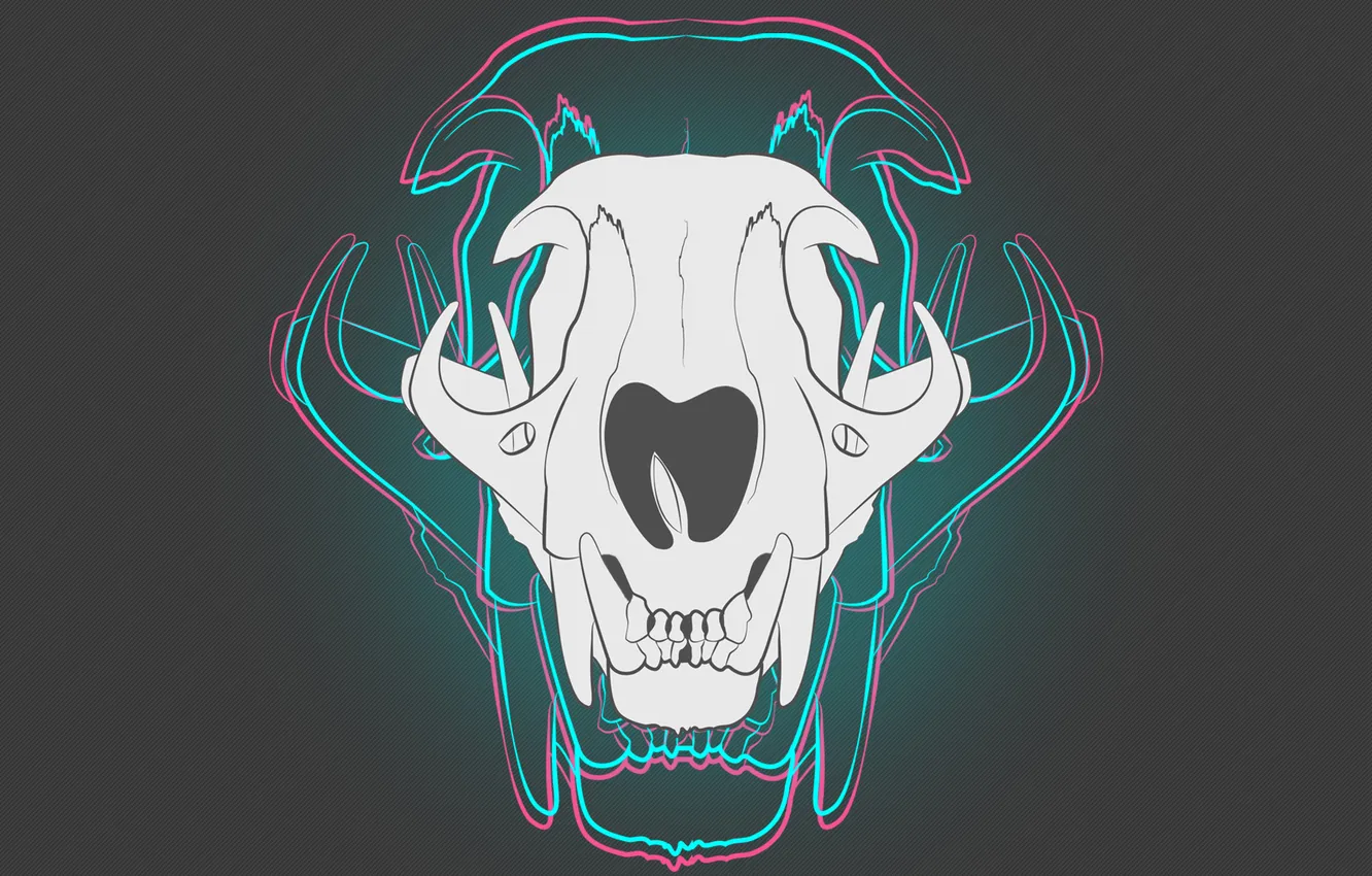 Photo wallpaper background, skull, neon