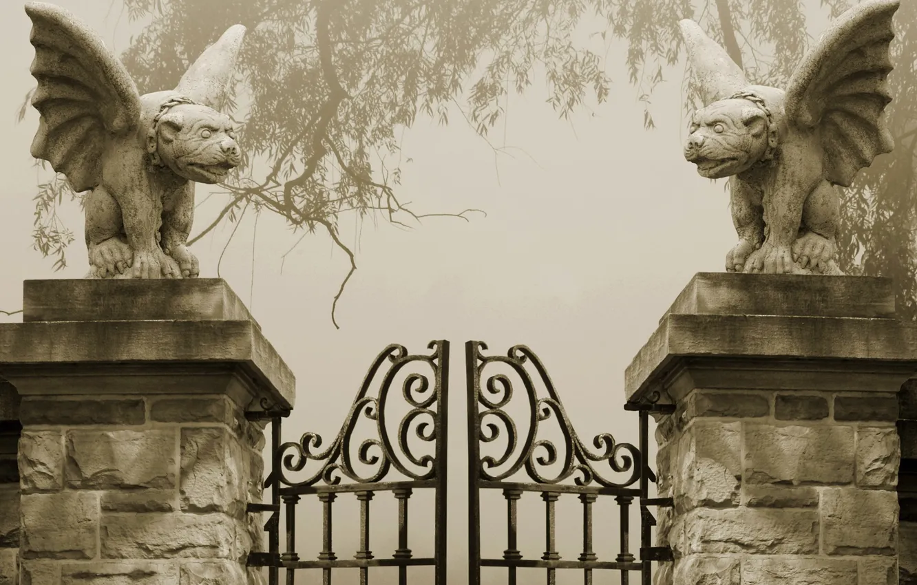 Photo wallpaper gray, gate, spooky