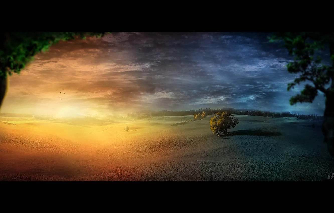 Photo wallpaper light, darkness, MorningNight