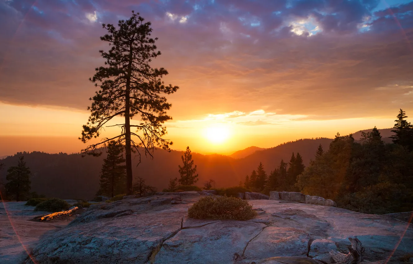 Photo wallpaper sunset, mountain, tree, Sierra Nevada, beetle rock