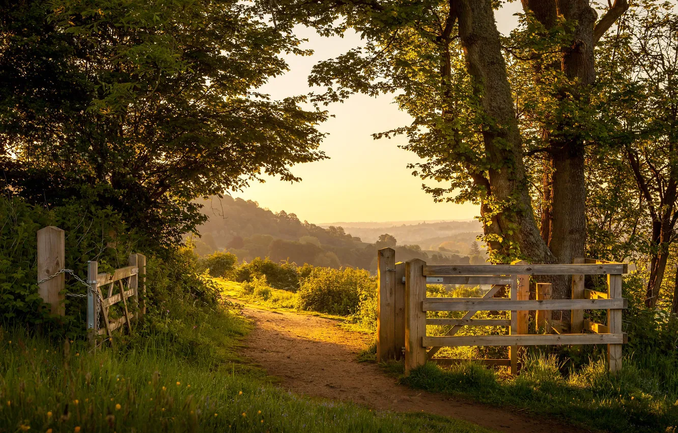 Photo wallpaper grass, the sun, trees, gate, path, England