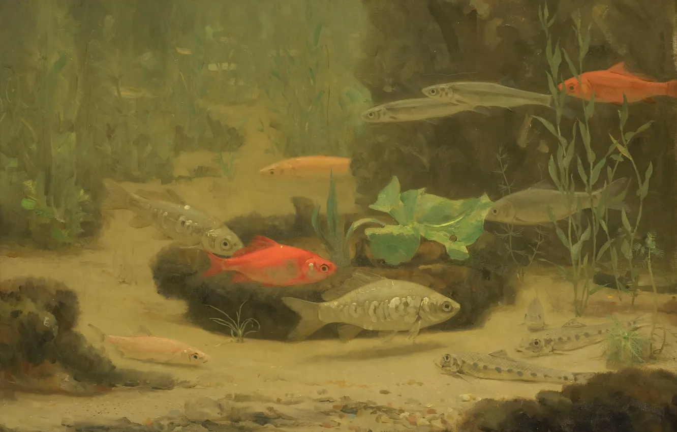 Photo wallpaper nature, picture, Gold and Silver Fishes in the Aquarium, Gerrit Willem Dijsselhof