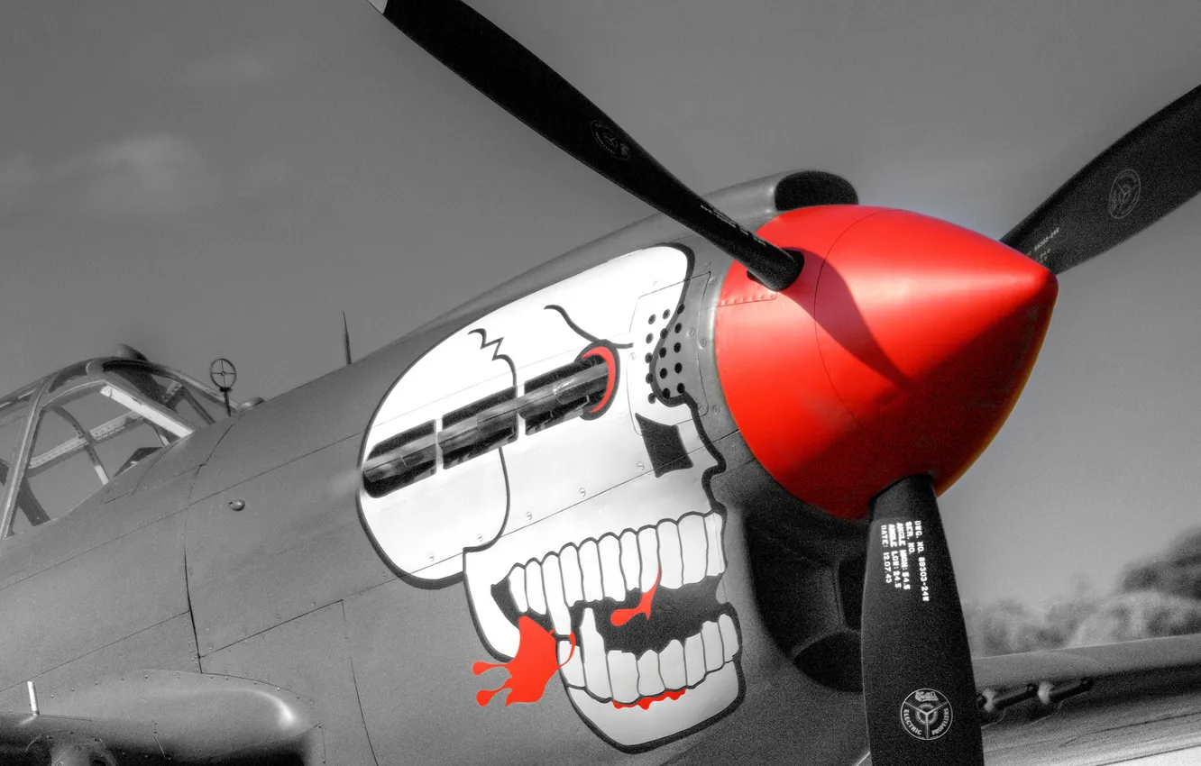 Photo wallpaper skull, Fighter, P-40, nose-art