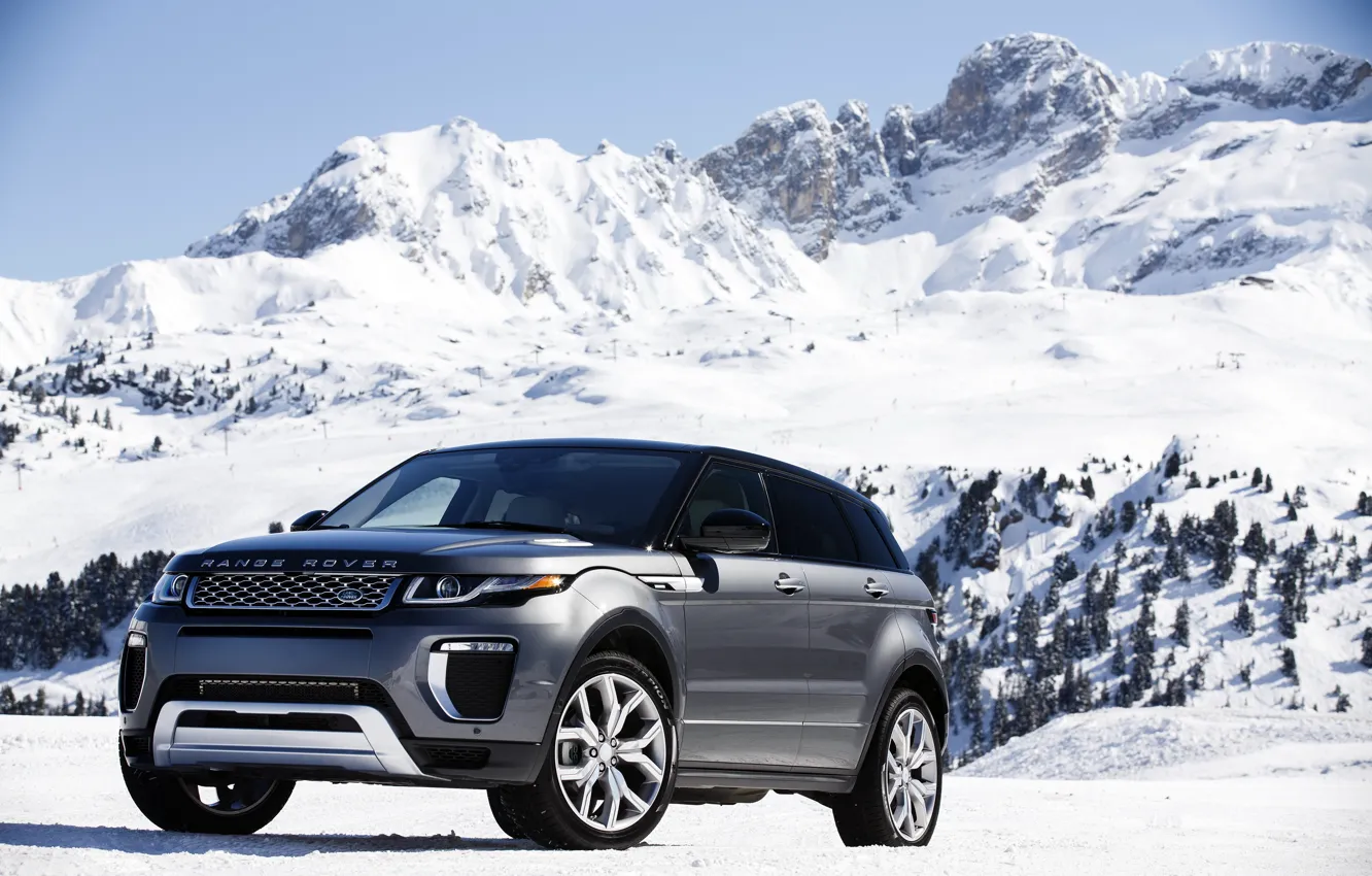 Photo wallpaper car, snow, trees, mountain, slope, Land Rover, Range Rover, mountain