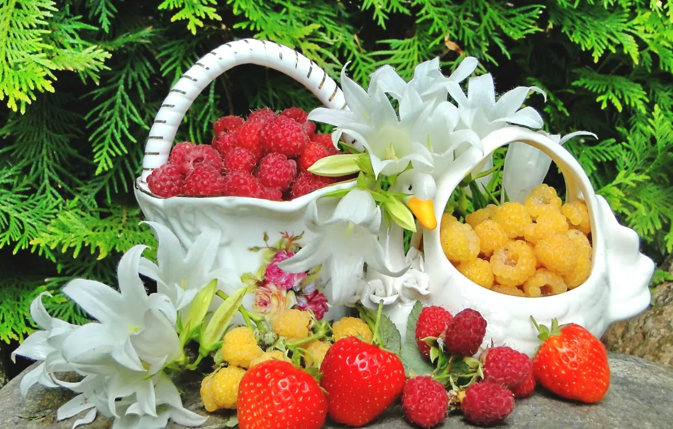 Photo wallpaper berries, raspberry, Lily, still life