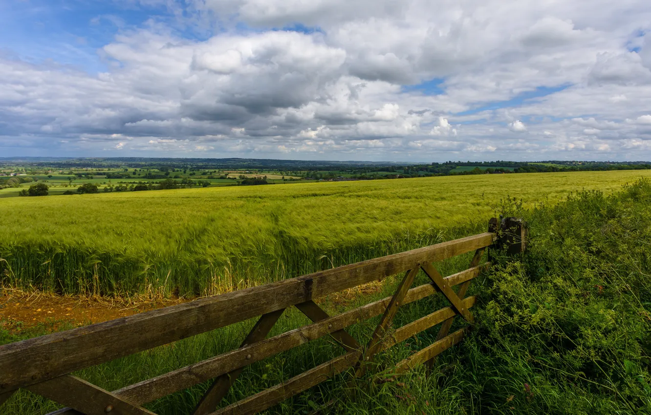 Photo wallpaper field, summer, clouds, landscape, Board, the fence, rye, the fence