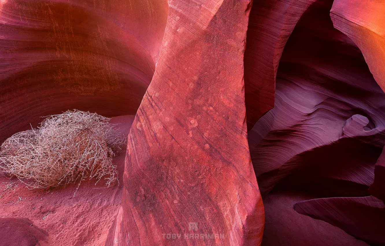 Photo wallpaper rocks, texture, AZ, USA, Antelope Canyon