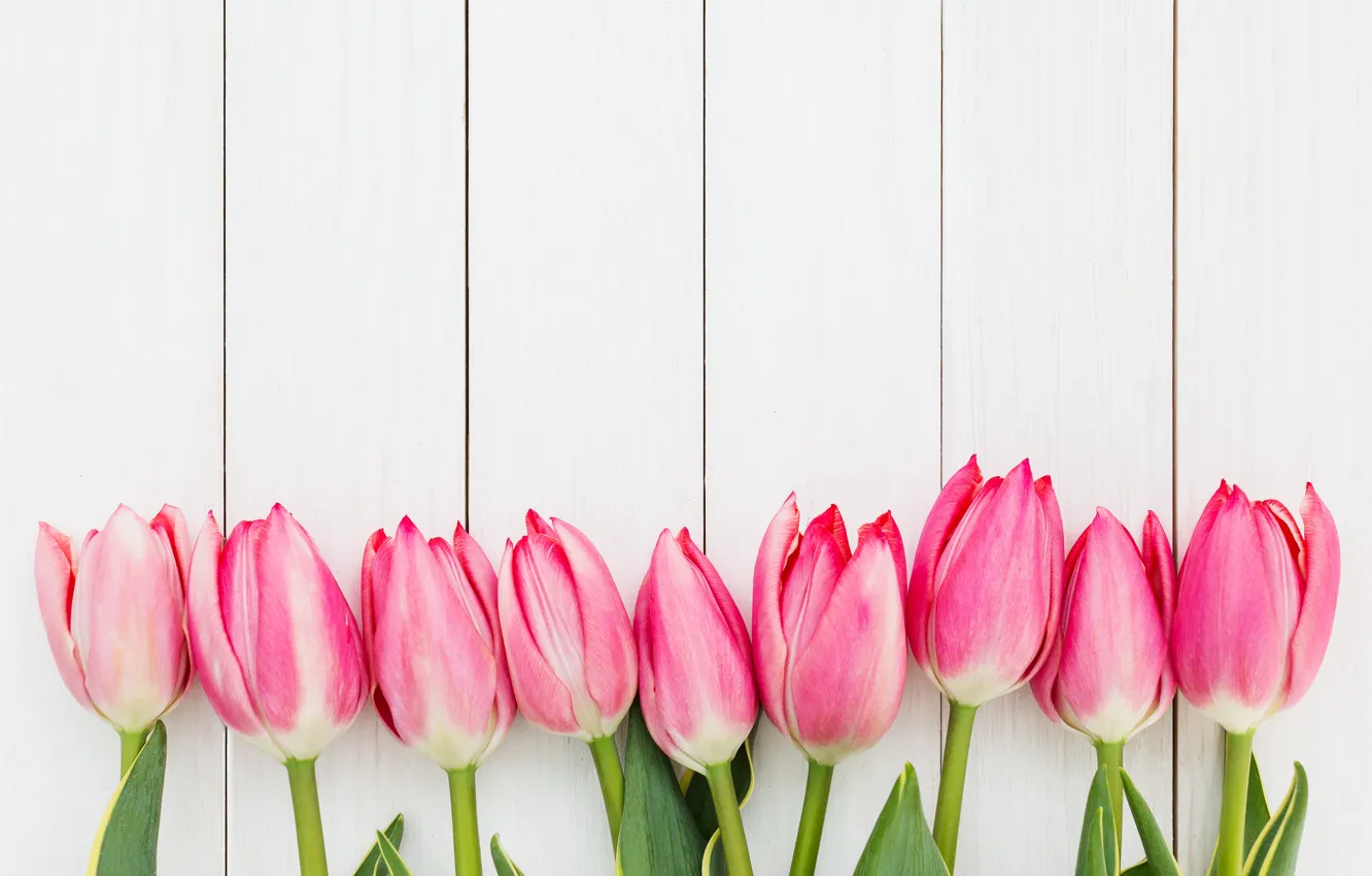 Photo wallpaper flowers, bouquet, tulips, pink, fresh, pink, flowers, beautiful