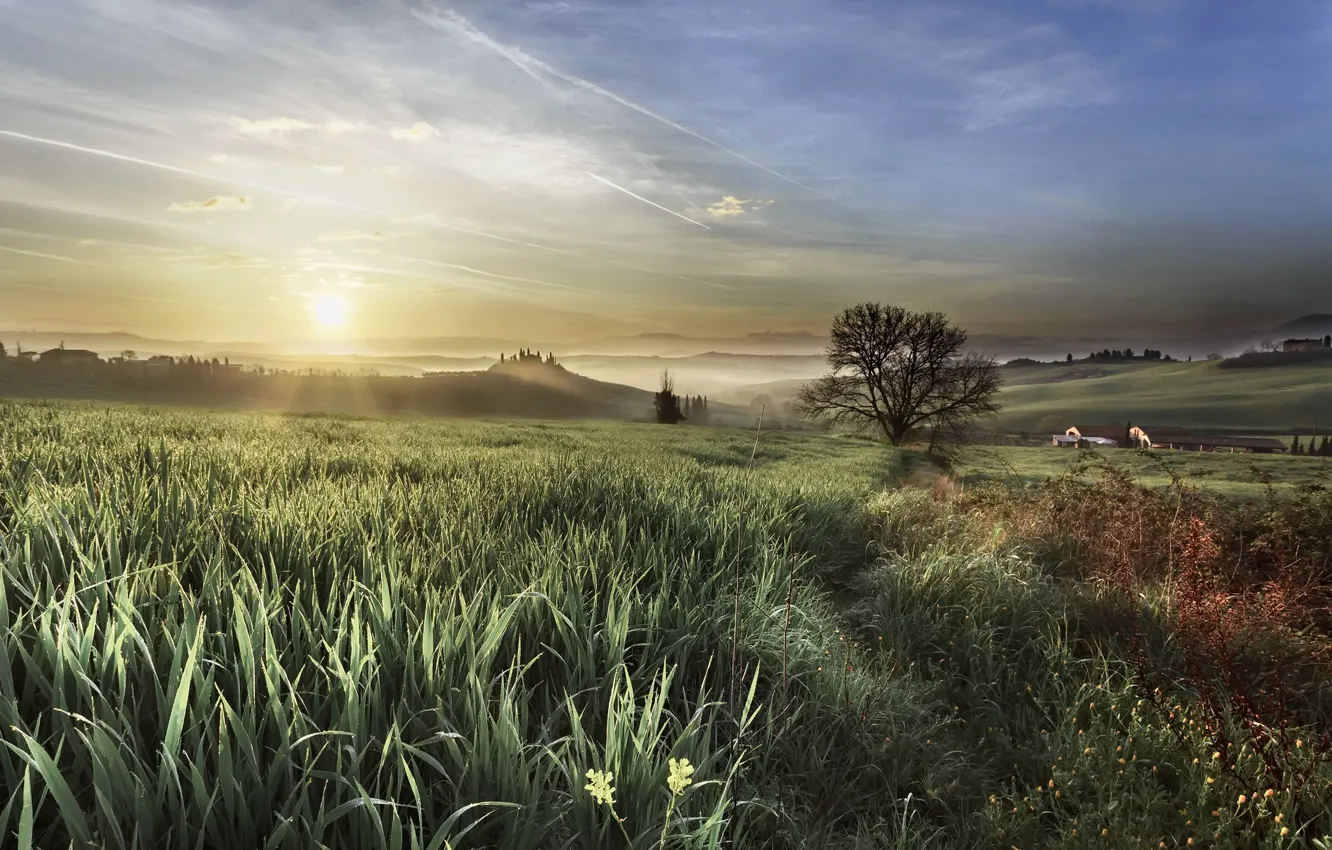 Photo wallpaper field, nature, fog, morning