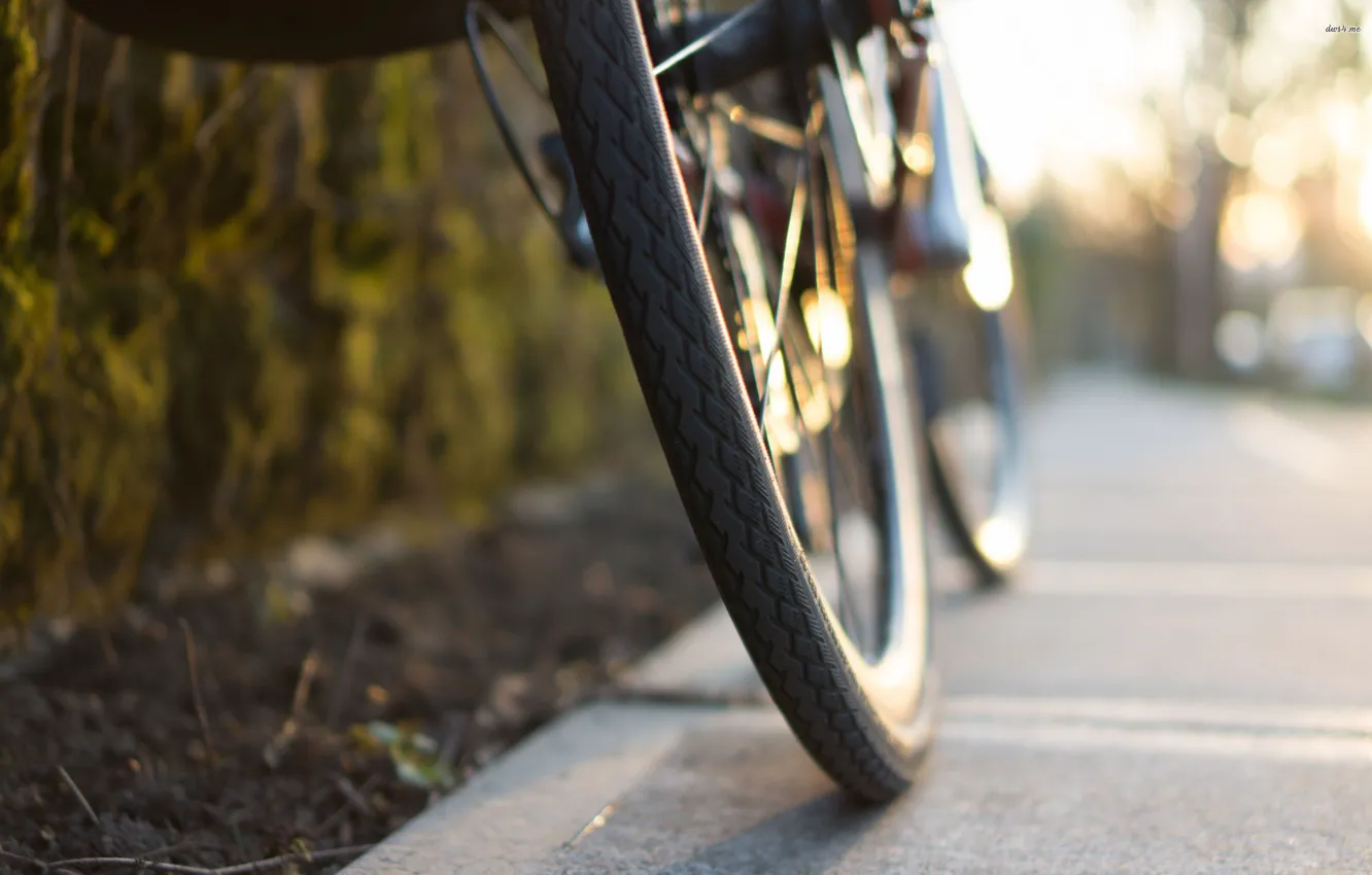 Photo wallpaper road, summer, light, nature, bike, bokeh